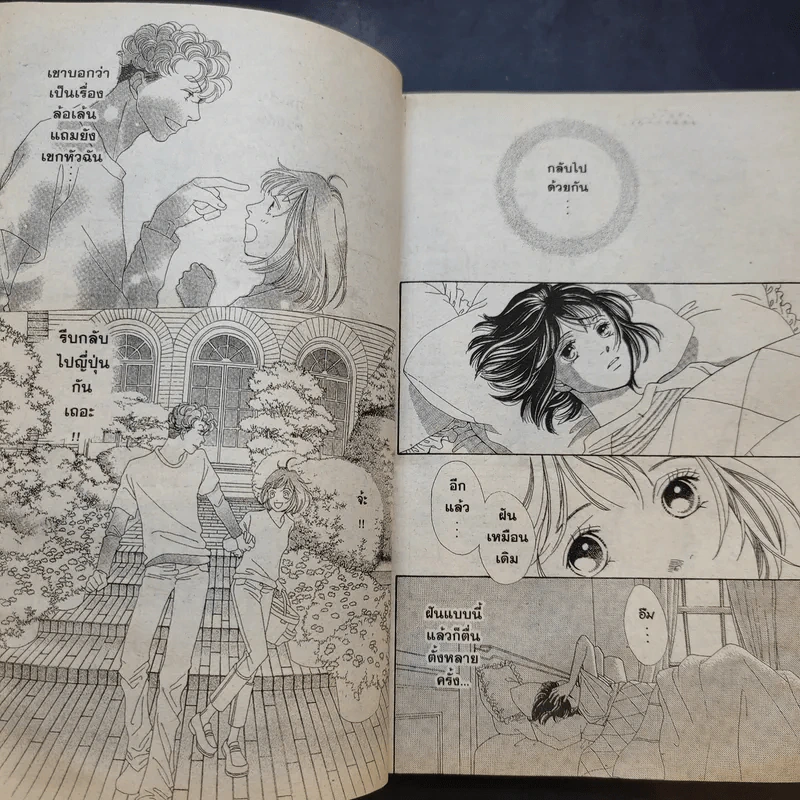 F4 สาวแกร่งแรงเกินร้อย เล่ม 1-3,6-12,17-20,29,30 รูปที่ 9