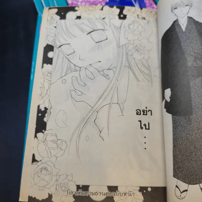 Fruits Basket เสน่ห์สาวข้าวปั้น เล่ม 2,3,4,9,18 รูปที่ 11
