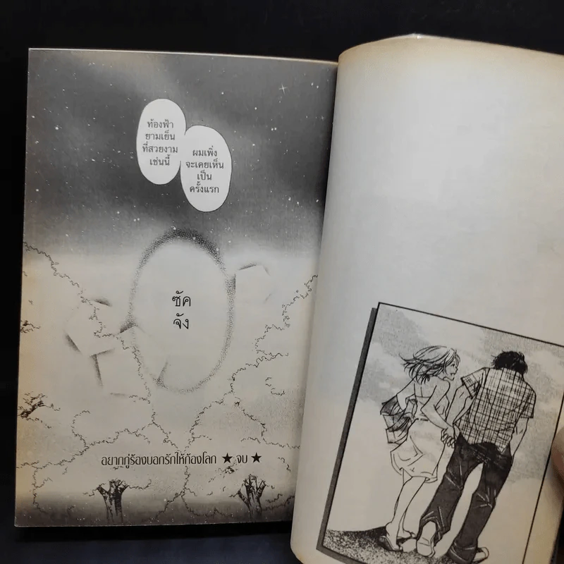 หนังสือการ์ตูน อยากกู่ร้องบอกรักให้ก้องโลก รูปที่ 12
