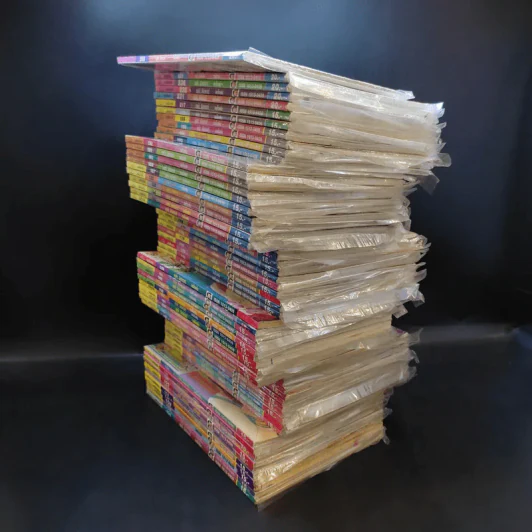 หนูหิ่นอินเตอร์ ขายรวม 61 เล่ม รูปที่ 8