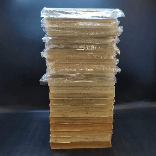 ยอดนักสืบจิ๋วโคนัน ภาคพิเศษ เล่ม 1-20 รูปที่ 5