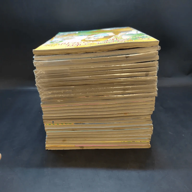 สาวดอกไม้กะนายกล้วยไข่ ขายรวม 27 เล่ม รูปที่ 6