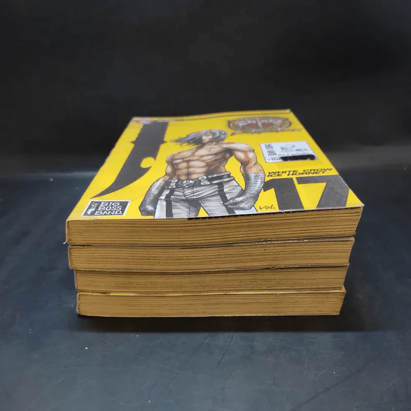 มีดที่ 13 Extinction เล่ม 1,2,16,17 รูปที่ 3