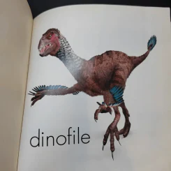 Dinofile - hamlyn รูปที่ 7