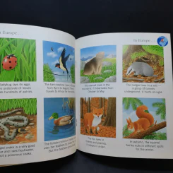 The First Discovery Book Animals รูปที่ 13