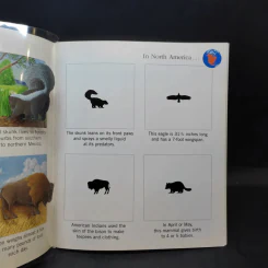 The First Discovery Book Animals รูปที่ 12