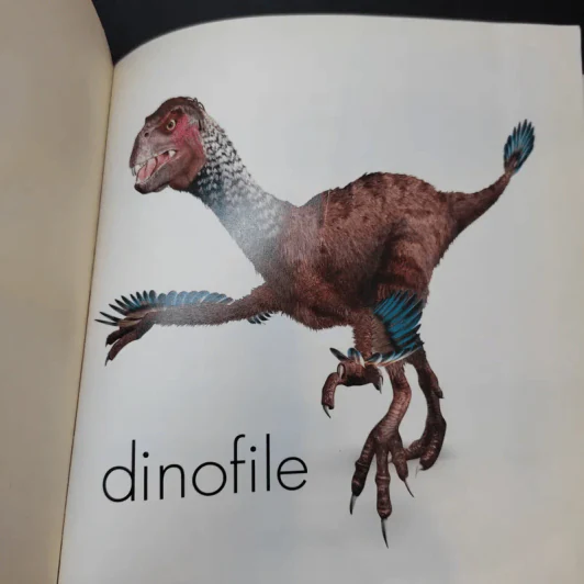 Dinofile - hamlyn รูปที่ 7