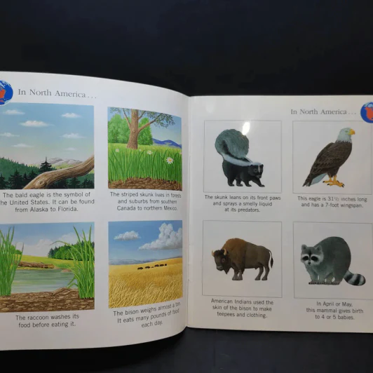 The First Discovery Book Animals รูปที่ 10