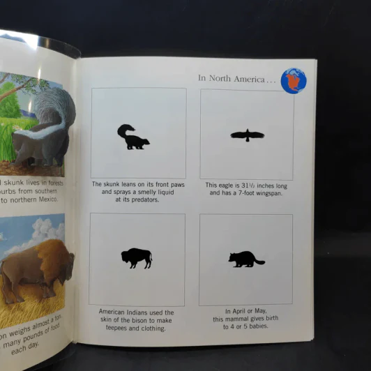 The First Discovery Book Animals รูปที่ 12