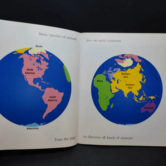 The First Discovery Book Animals รูปที่ 9