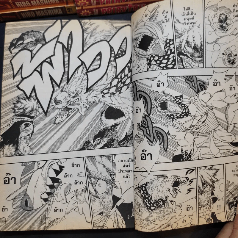 Fairy Tail ศึกจอมเวทอภินิหาร เล่ม 1-14,16-43 รูปที่ 14