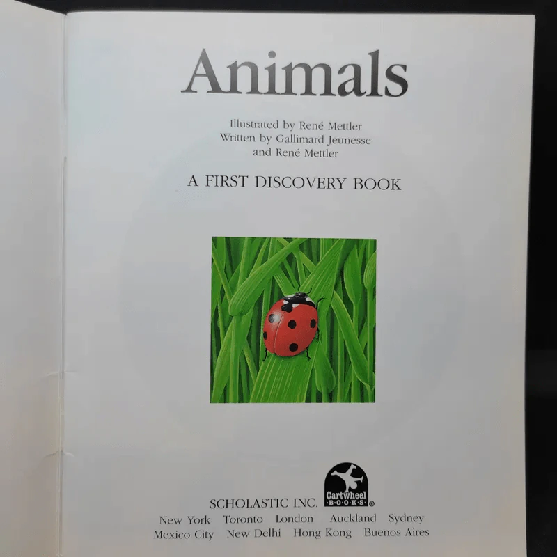 The First Discovery Book Animals รูปที่ 8