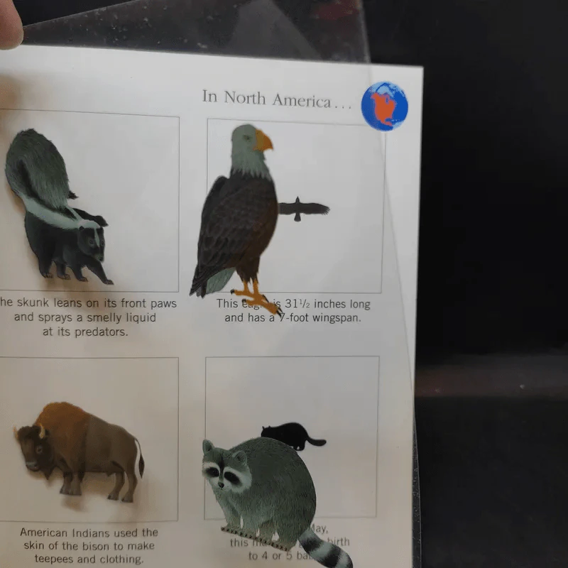 The First Discovery Book Animals รูปที่ 11