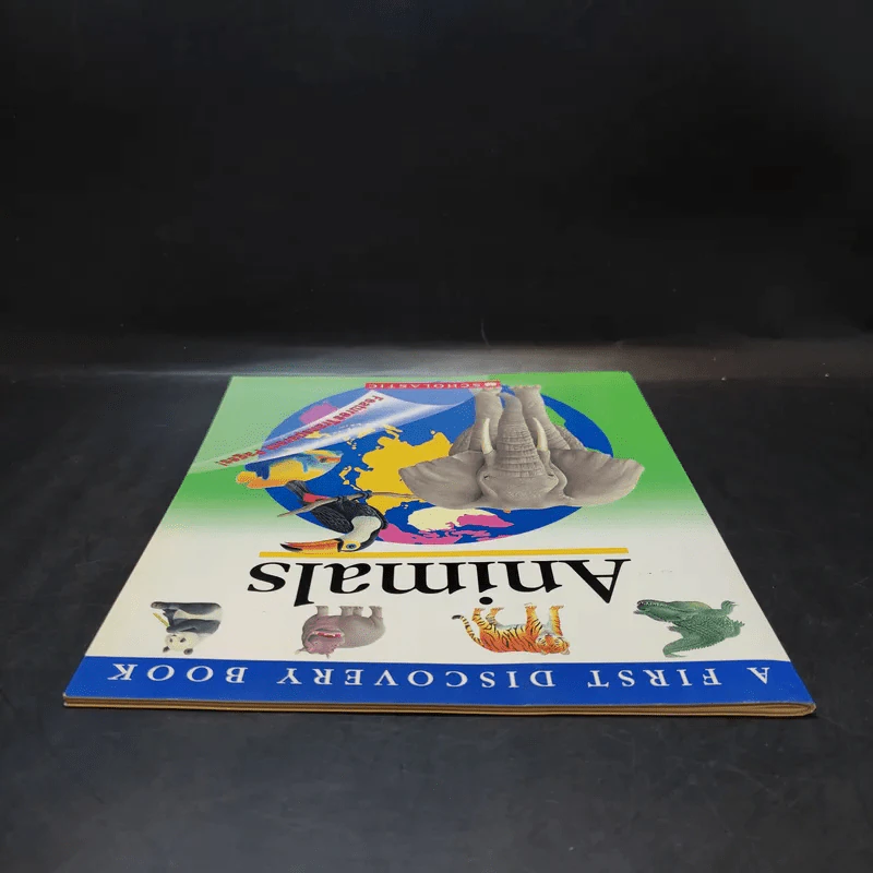 The First Discovery Book Animals รูปที่ 6