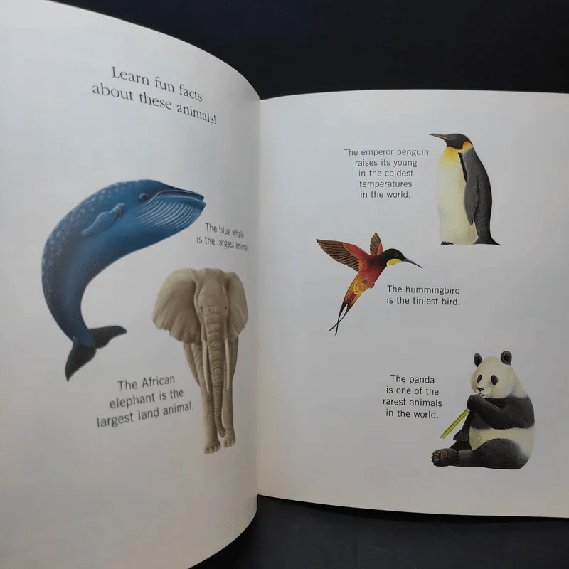 The First Discovery Book Animals รูปที่ 14