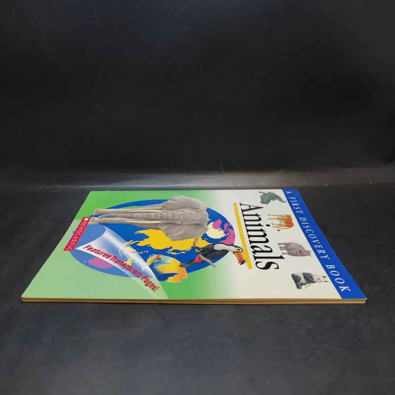 The First Discovery Book Animals รูปที่ 5