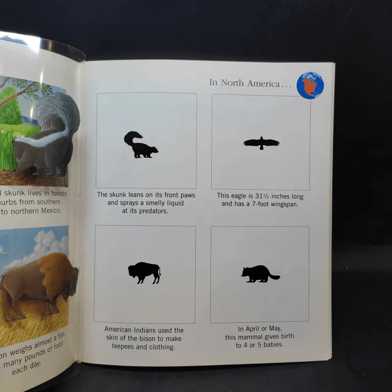 The First Discovery Book Animals รูปที่ 12