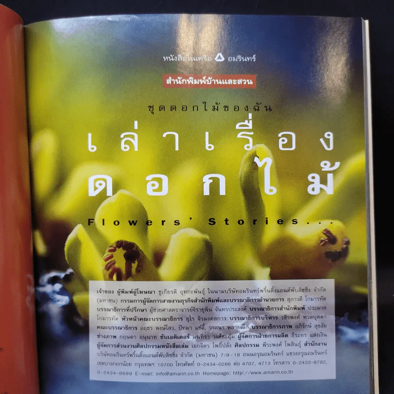 ชุดดอกไม้ของฉัน เล่าเรื่องดอกไม้ - ชัชฎา วงศ์ทองสงวน รูปที่ 10