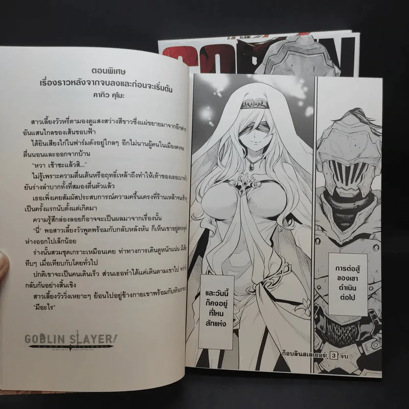 Goblin Slayer เล่ม 3,4,6 รูปที่ 14