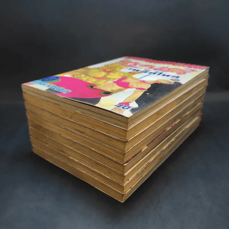 วานรเหล็กไหล เล่ม 1-8 รูปที่ 6