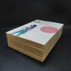 The Creator บันทึกสงครามเทพมังงะ 4 เล่มจบ รูปที่ 6