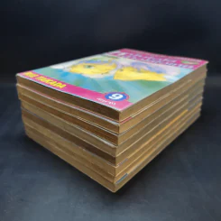 หนุ่มไฮโซกับสาวใช้ไฮเทค 9 เล่มจบ (ขาดเล่ม 2) รูปที่ 6