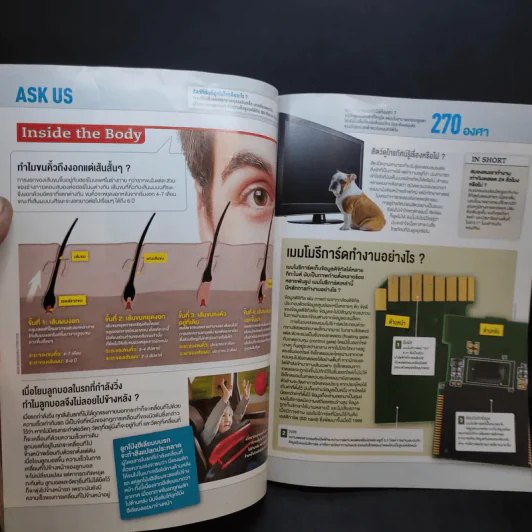 Science Illustrated April 2015 รูปที่ 10