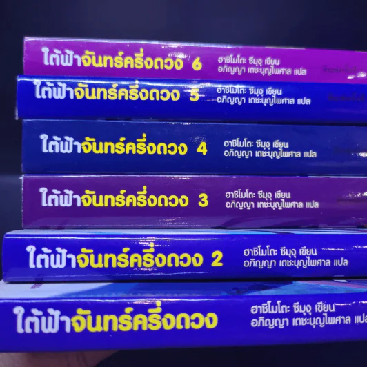 ใต้ฟ้าจันทร์ครึ่งดวง เล่ม 1-6 รูปที่ 7