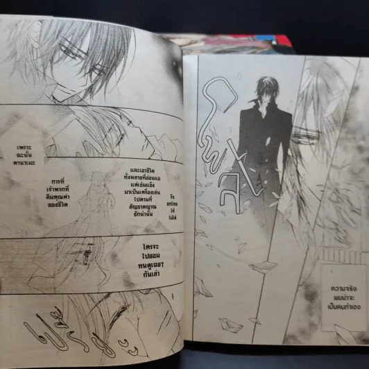 VAMPIRE KNIGHT เล่ม 1-14 รูปที่ 11