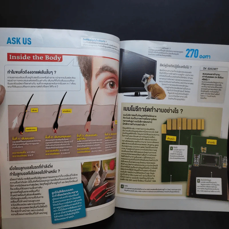Science Illustrated April 2015 รูปที่ 10