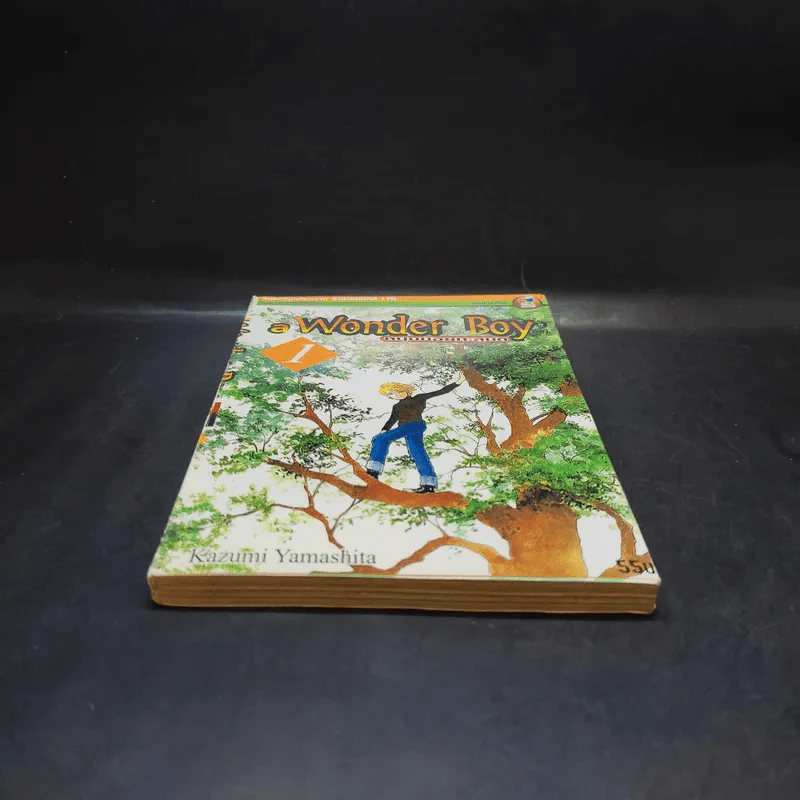 A Wonder Boy หนุ่มน้อยทะลุมิติ เล่ม 1 รูปที่ 4