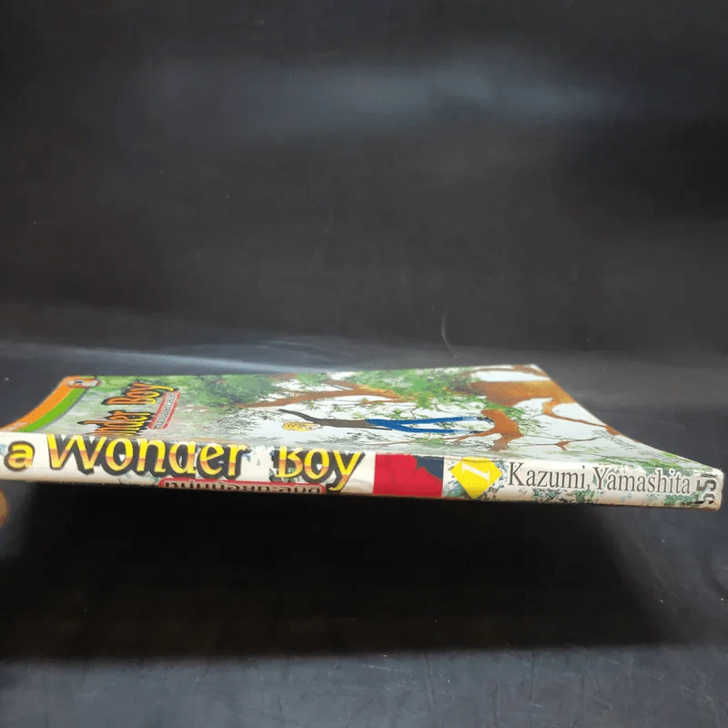 A Wonder Boy หนุ่มน้อยทะลุมิติ เล่ม 1 รูปที่ 3