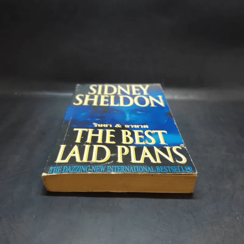 ริษยา & อาฆาต The Best Laid Plans - Sidney Sheldon รูปที่ 4