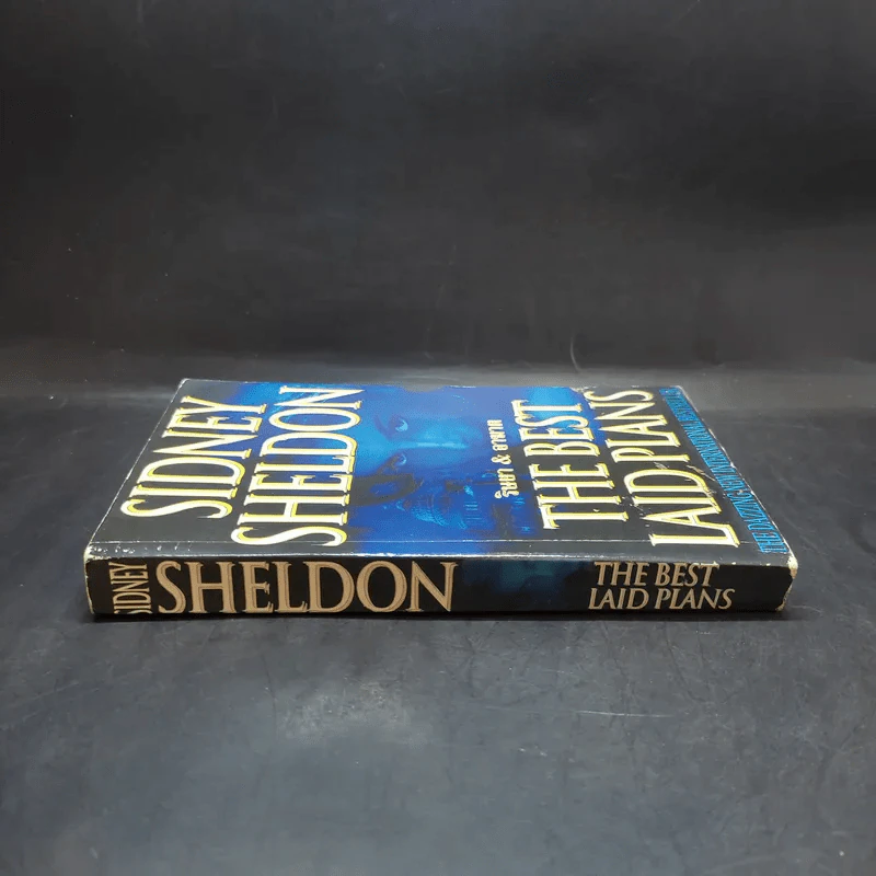 ริษยา & อาฆาต The Best Laid Plans - Sidney Sheldon รูปที่ 3