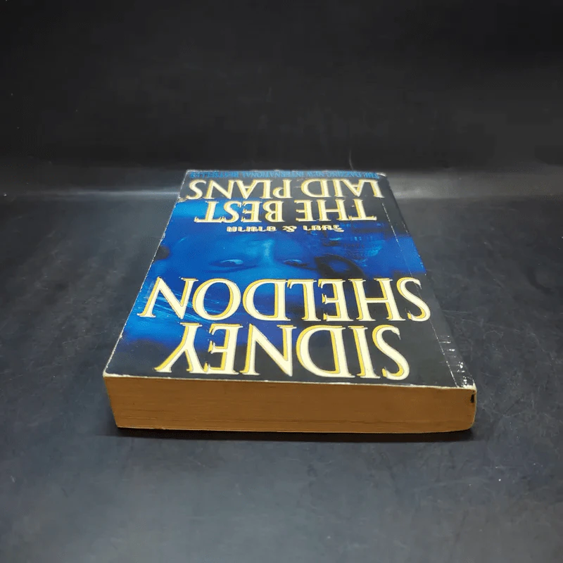 ริษยา & อาฆาต The Best Laid Plans - Sidney Sheldon รูปที่ 6