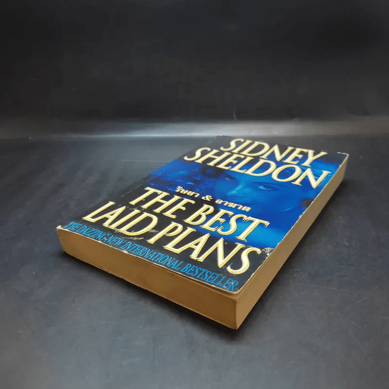 ริษยา & อาฆาต The Best Laid Plans - Sidney Sheldon รูปที่ 7