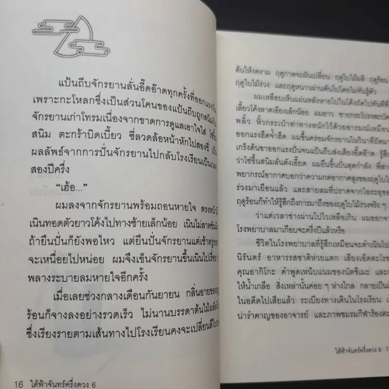 ใต้ฟ้าจันทร์ครึ่งดวง เล่ม 1-6 รูปที่ 10