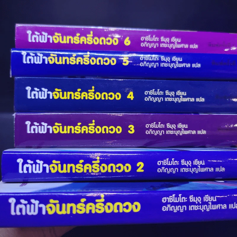 ใต้ฟ้าจันทร์ครึ่งดวง เล่ม 1-6 รูปที่ 7