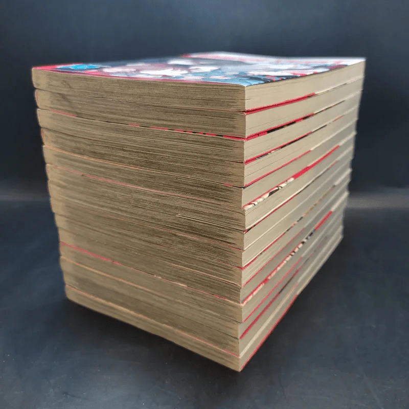 VAMPIRE KNIGHT เล่ม 1-14 รูปที่ 6