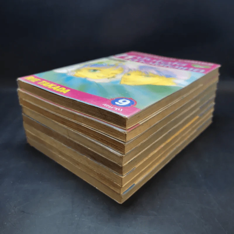หนุ่มไฮโซกับสาวใช้ไฮเทค 9 เล่มจบ (ขาดเล่ม 2) รูปที่ 6