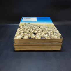 เจ้าสาวแห่งทางสายไหม เล่ม 1-3 รูปที่ 3