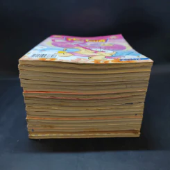 ปังปอนด์ ขายรวม 20 เล่ม รูปที่ 3