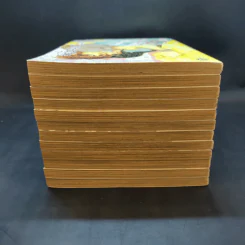 หนังสือการ์ตูน เจ้าหญิงจอมจุ้นกับรักวุ่นๆในวัง เล่ม 1-12 รูปที่ 5