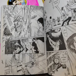 เจ้าสาวซาตาน เล่ม 1,9,11,13,14 รูปที่ 11