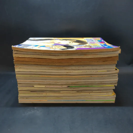 ขายเหมาการ์ตูนแก๊กหลายแนว รวม 22 เล่ม รูปที่ 5