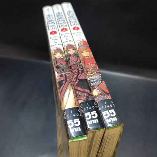เจ้าสาวแห่งทางสายไหม เล่ม 1-3 รูปที่ 14