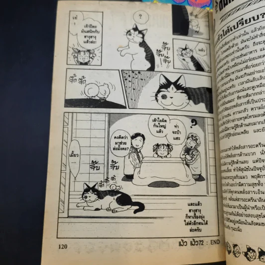 แง้วแง้ว แมวอย่างเดียวไม่เกี่ยวกับคน เล่ม 4,6 รูปที่ 12