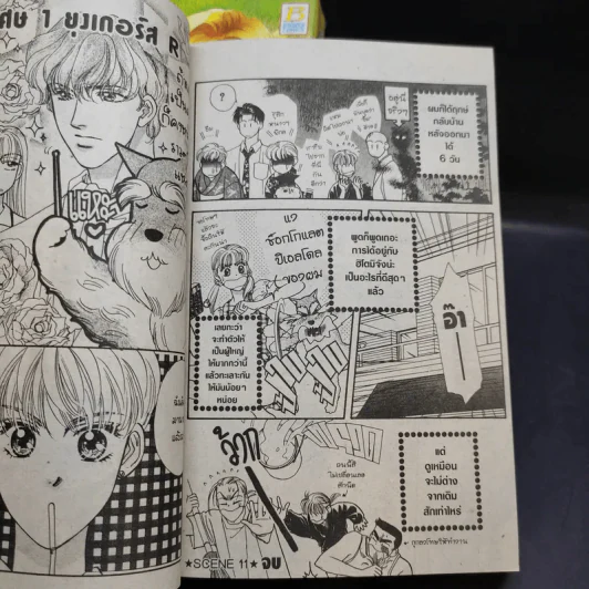 โฮ่ง โฮ่ง ผมพูดได้ครับ 2 เล่มจบ รูปที่ 12