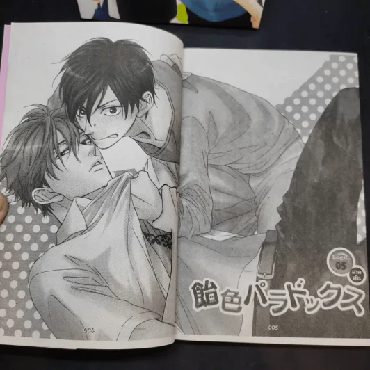 การ์ตูนวาย กับดักรักของนายตัวแสบ 2 เล่มจบ รูปที่ 10