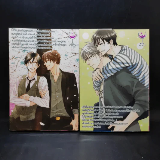 การ์ตูนวาย กับดักรักของนายตัวแสบ 2 เล่มจบ รูปที่ 2